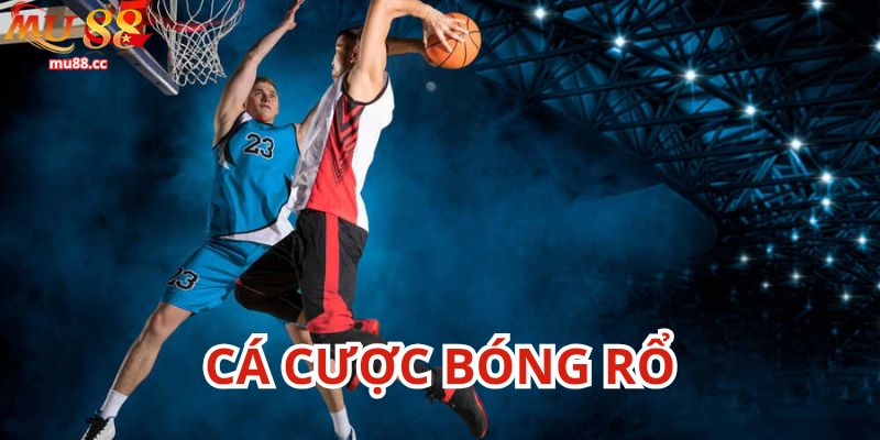 Tổng quan về cá cược bóng rổ