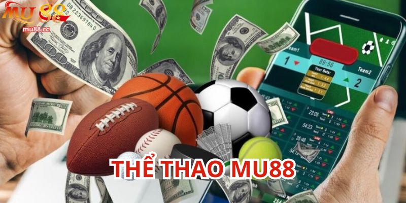 Tổng quan sảnh thể thao Mu88